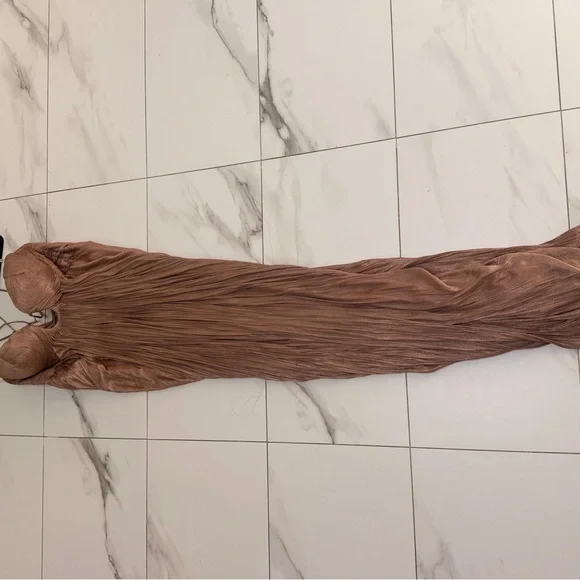 Maria Lucia Hohan “Lissandra” Gown – Creme Brulee – Size 40 (US 6) - Picture 8 of 10